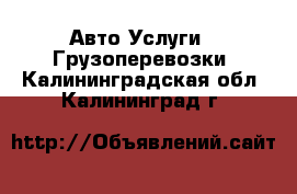 Авто Услуги - Грузоперевозки. Калининградская обл.,Калининград г.